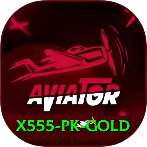 X555 PK Gold - 2